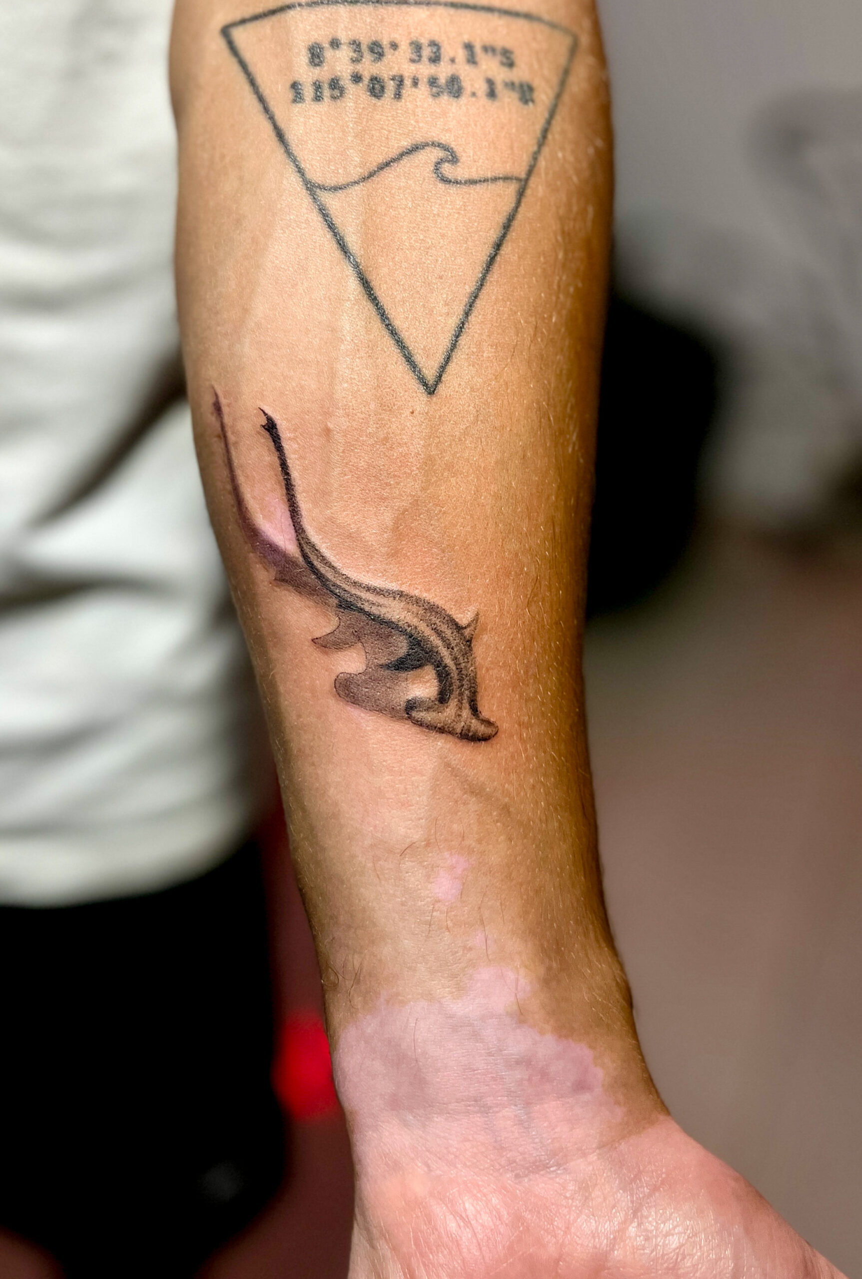 Dolphin tattoo by Black Koi Tattoo